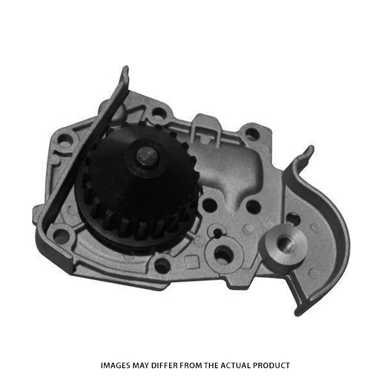 WATER PUMP REN MEG/S
