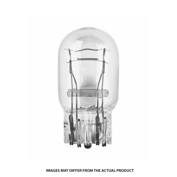 GLOBE 12V LARGE D/C WEDGE