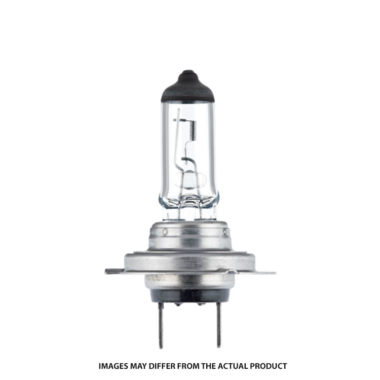 H7-24V-70W GLOBE